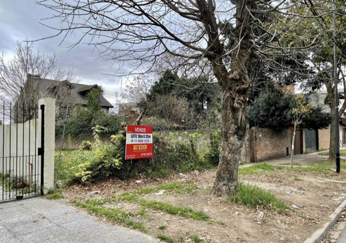 Imagen 3 de 4 de Lote Para Depósito 350m2 / Victoria - San Fernando