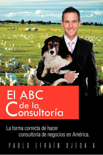 Libro: El Abc De La Consultoría: La Forma Correcta De Hacer 