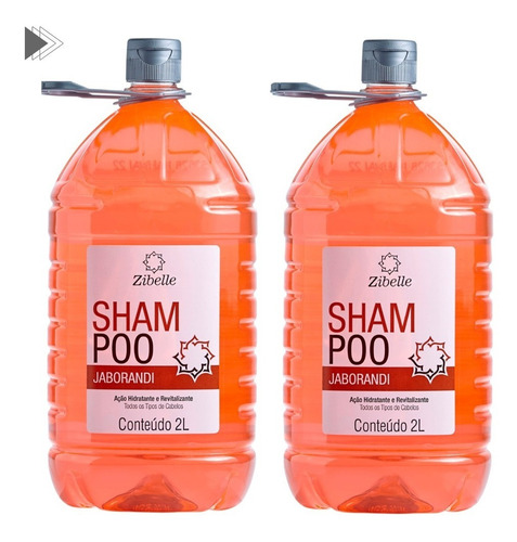 Kit 2 Shampoo Jaborandi Hidratação E Suavidade 2l Zibelle