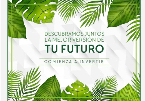Imagen 5 de 5 de Lotes En Venta En Yucatan Desde 500m2
