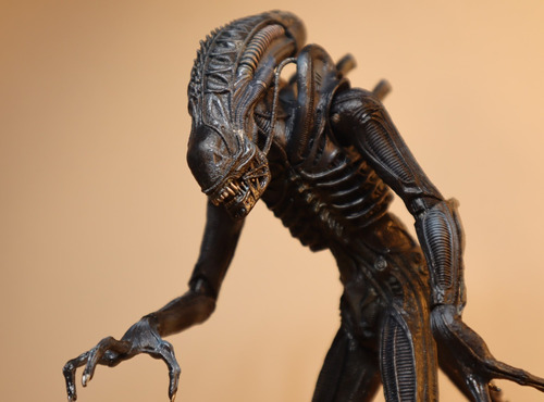 Warrior Alien (detalle) 2009 Aliens Neca