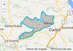 Agrícola En Venta En Rauco