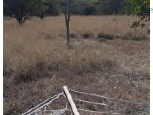 Imagen 4 de 4 de Terreno Campestre En Venta En Montemorelos Eda