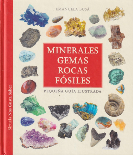 Minerale Gemas Rocas Fosiles Emanuela Busa