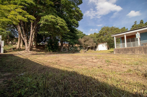 Imagem 7 de 23 de Terreno À Venda Em Jardim Do Vale - Te007989