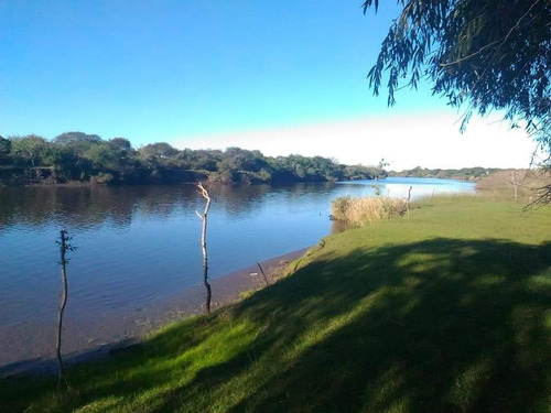 Imagen 8 de 14 de Campo En Gualeguaychú 23,5 Ha Con Playa Natural