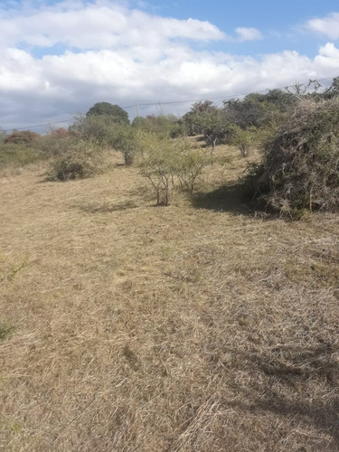 Imagen 7 de 11 de Lote 1500 M2 Tierra El Sauce Villa General Belgrano - Córdoba