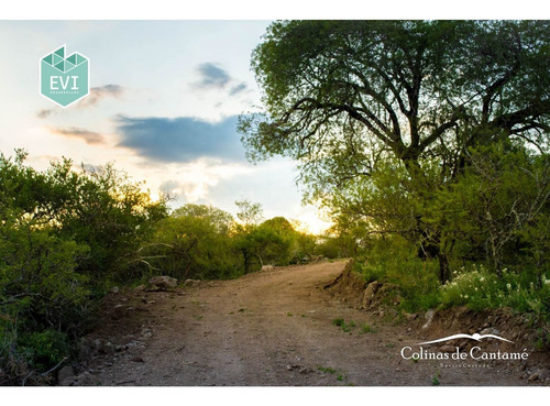 Lotes En Calamuchita -colinas De Cantame- Promo Imperdible