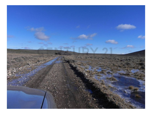 Imagen 8 de 15 de Venta Campo Productivo En La Pre-cordillera De 10623 Hectareas Cria De Ganado