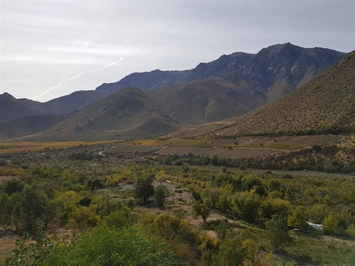 Agrícola En Venta En Monte Patria