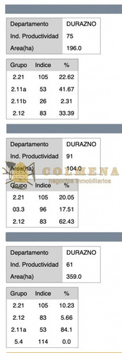Campo Con Prioridad Forestal - Consulte!!!!- Ref: 4253