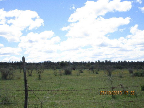 Propiedad Agrícola De Riego Con Derechos De Aguas Río Ñuble
