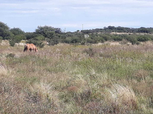 Imagen 10 de 11 de Campo De 350 Has.en San Luis , (gran Oportunidad) Dño Direct