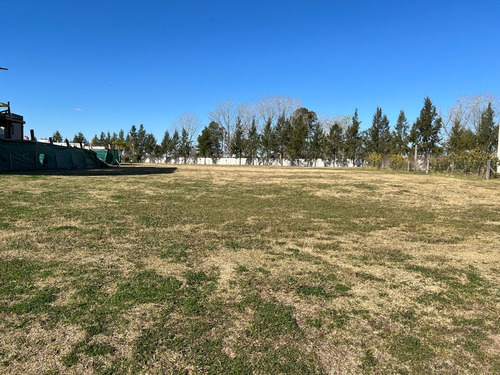 Imagen 2 de 5 de Lote Con Doble Pulmon Verde A La Venta En Terralagos.