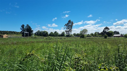 Industrial En Venta En Llanquihue