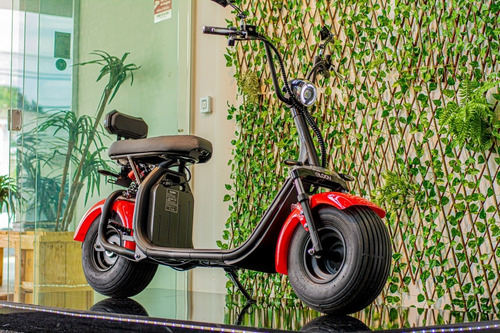 Imagem 1 de 13 de Scooter Elétrica 1500w Gloov