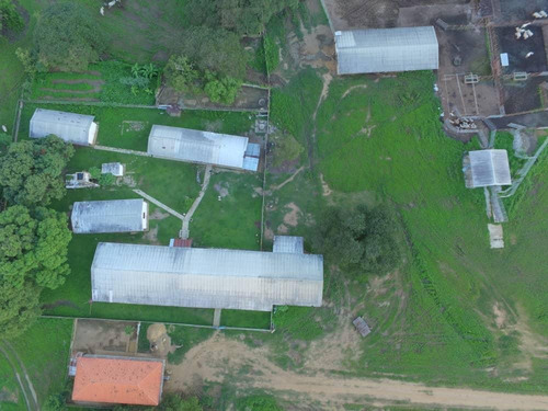 Imagen 6 de 20 de Hato En Edo. Guárico De Ganado Cebú En Venta