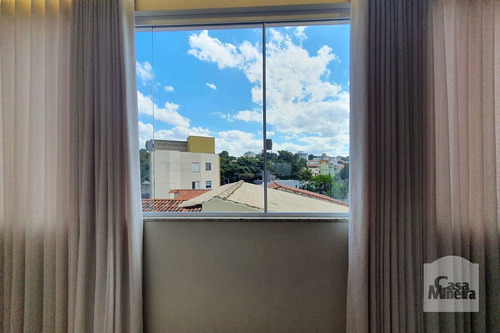 Imagem 7 de 15 de Apartamento À Venda No Santa Amélia - Código 336066 - 336066