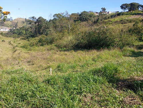 Terreno 258,30m Jardim Fortaleza Guarulhos Com Escritura