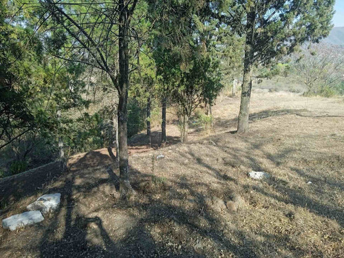Imagen 21 de 26 de Terreno Venta Club De Campo El Tipal 3600 M2