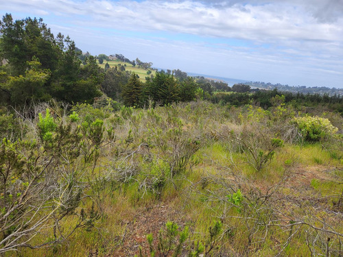 Disfrutar 4 Ha En Cachagua, Aguas Claras