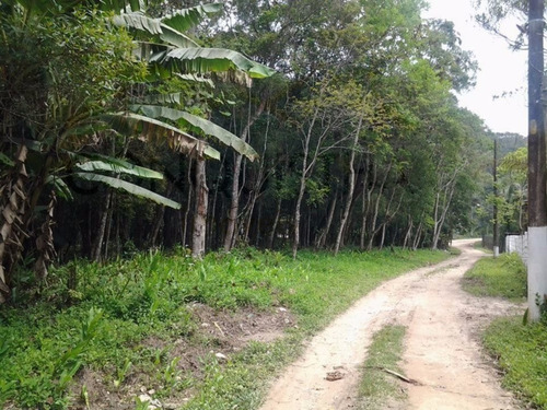 Imagem 4 de 6 de Sitio - Curucutu - Ref: 1428 - V-3551