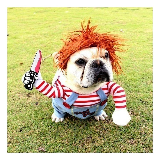 Trajes Para Perro Halloween | MercadoLibre ???? Trajes Para Perro Halloween | MercadoLibre ????