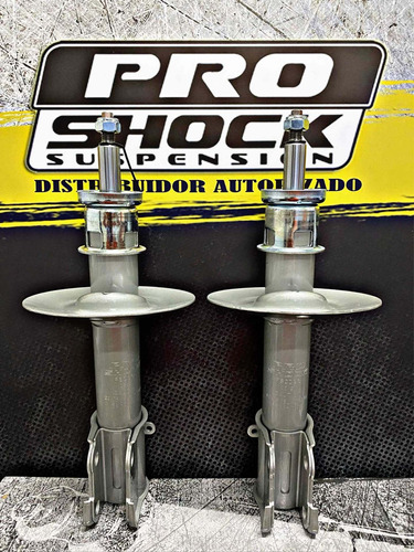 Amortiguador Delantero Pro Shock Neon 00-06