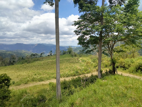 Excelente Finca En Chiguara Mérida