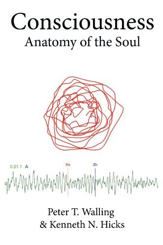 Consciousness Anatomy Of The Soul