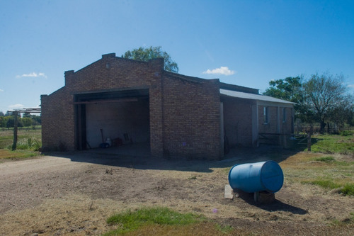 Vendo Campo De 242 Hectas En Proximidades A Ciudad De Libertad