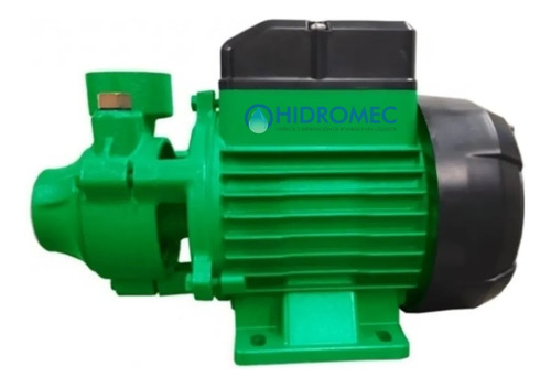 Imagen 2 de 7 de Bomba Periférica Rowa Pr 60 De 1/2 Hp Monofásico Eleva 33mts
