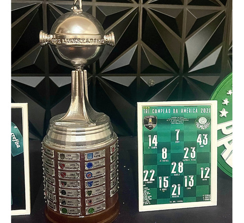 Miniatura Taça Libertadores Da América+mascote+quadro