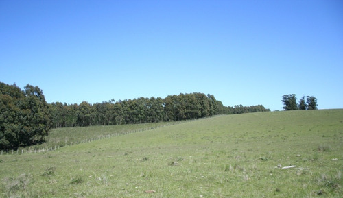Quinta En Venta En Rincon De Jose Ignacio