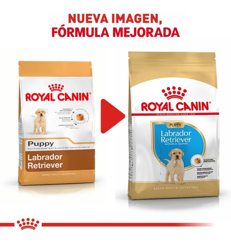 Imagen 6 de 7 de Royal Canin Labrador Puppy 13.6 Kg Nuevo Original Sellado