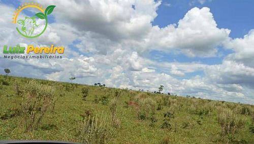 Imagem 3 de 15 de Fazenda À Venda Em Anaurilândia - Ms - (excelente Para Lavoura) - 1696
