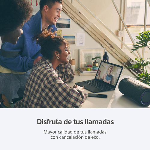 Parlante Bluetooth Portátil Inalámbrico Sony SRS-XG300 Negro