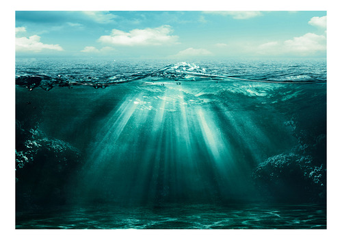 Cartel De Paisaje De Acuario 76x46cm