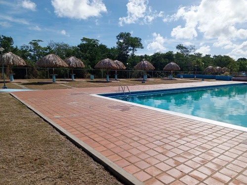 Venta De Villa En Palm Beach Higuerote Ls 25-17519