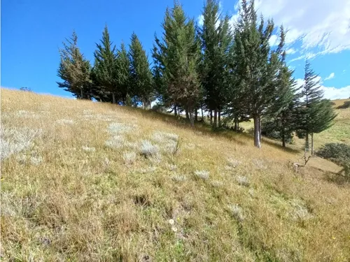 Venta De Lote Chivatá