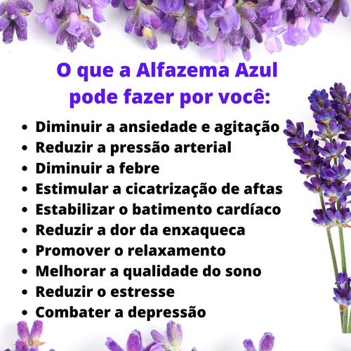Alfazema Azul (lavanda) Granel 1kg