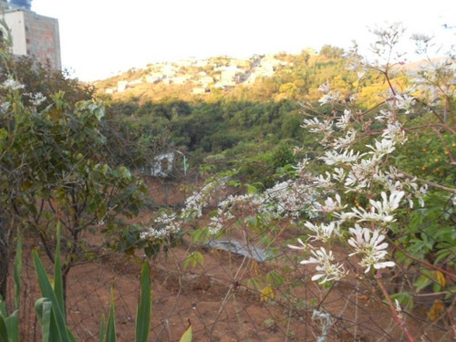 Lote Para Comprar No Bosque De Ibirité Em Ibirité/mg - 3107