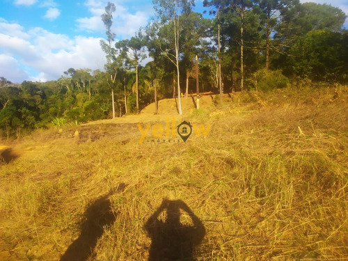 Imagem 5 de 7 de Terreno - Monte Negro - Te-3048