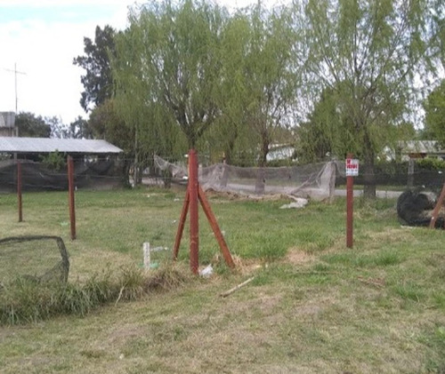 Imagen 2 de 2 de Lote