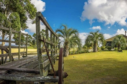 Imagen 19 de 20 de Chacra En Venta En Maldonado, El Quijote 206