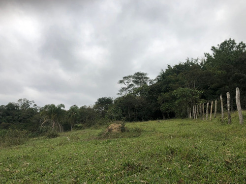 Imagem 6 de 12 de Vendo Lotes Em Aruja