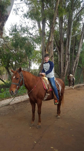 Terreno Ecuestre En Venta Havetno655 Para Desarrollar Finca Para Montar Caballo