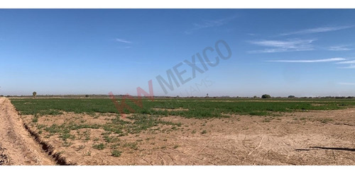 Terreno Agricola Con Permiso De Riego En Venta Colonia Camacho En Mexicali B.c