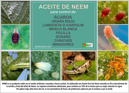 Aceite Neem Nim Natural Control De Insectos 1 Lt Orgánico