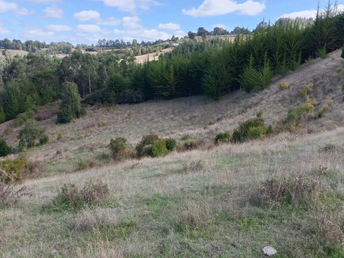 Maravillosa Parcela , Sector Cullinco Alto Carahue
